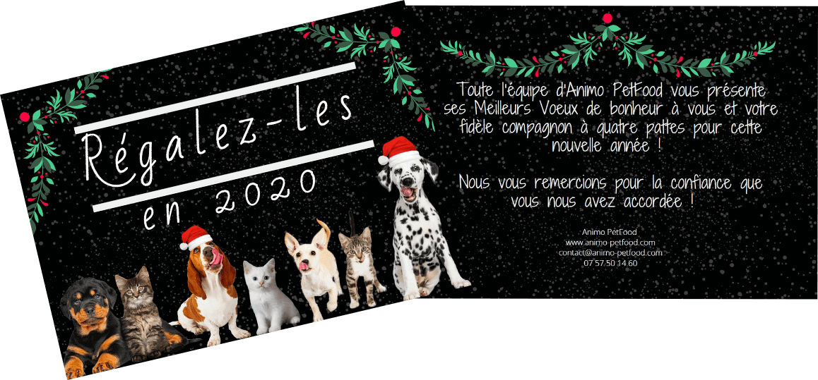 meilleurs-voeux-2020-chiens-chats